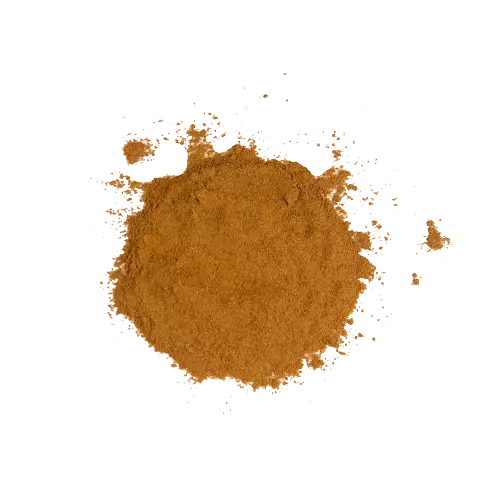 Canela Em Pó Importada - 100g