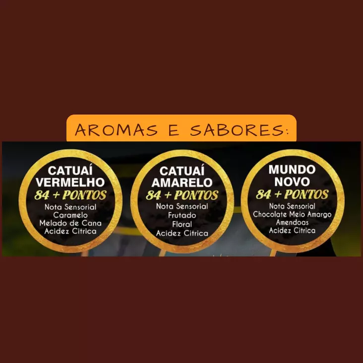 Café Especial em Grãos - 500g