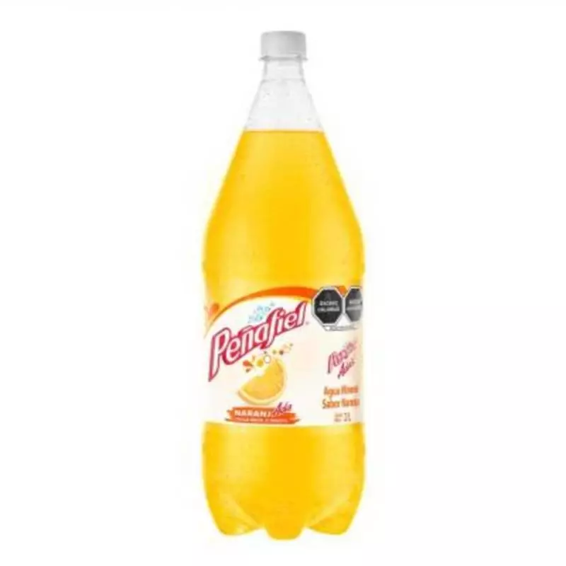 Peñafiel naranjada 2L