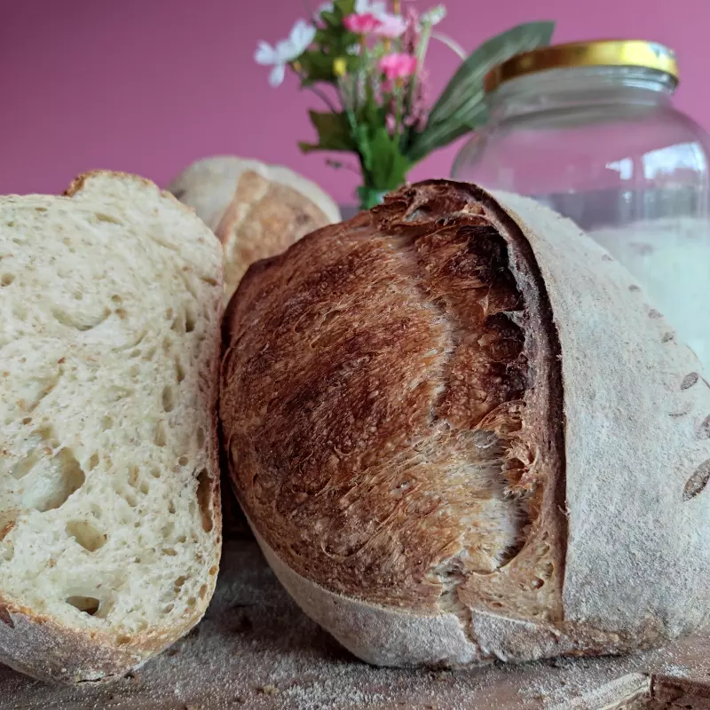 Pan rustico