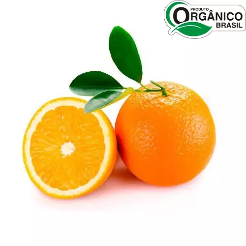 Laranja Bahia Orgânica