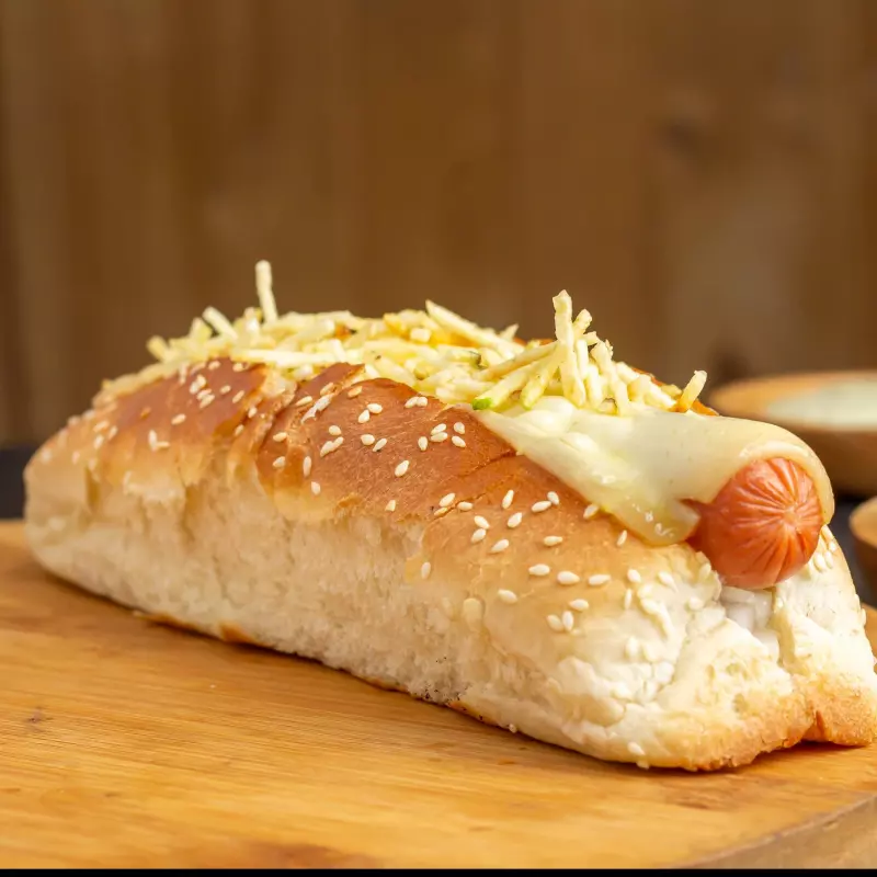 PERRO AMERICANO