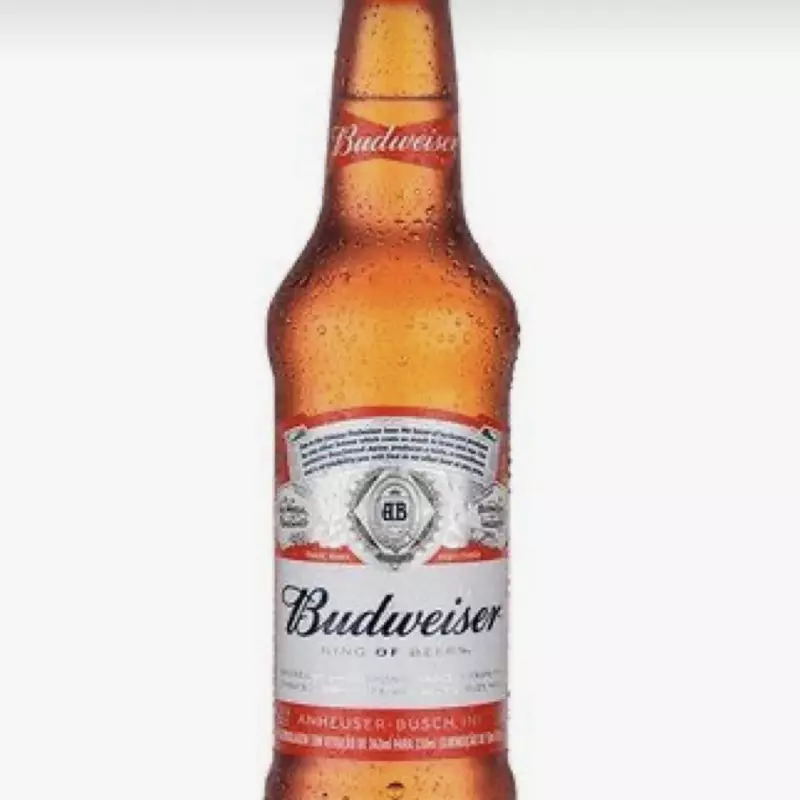 BUDWEISER LONG NECK