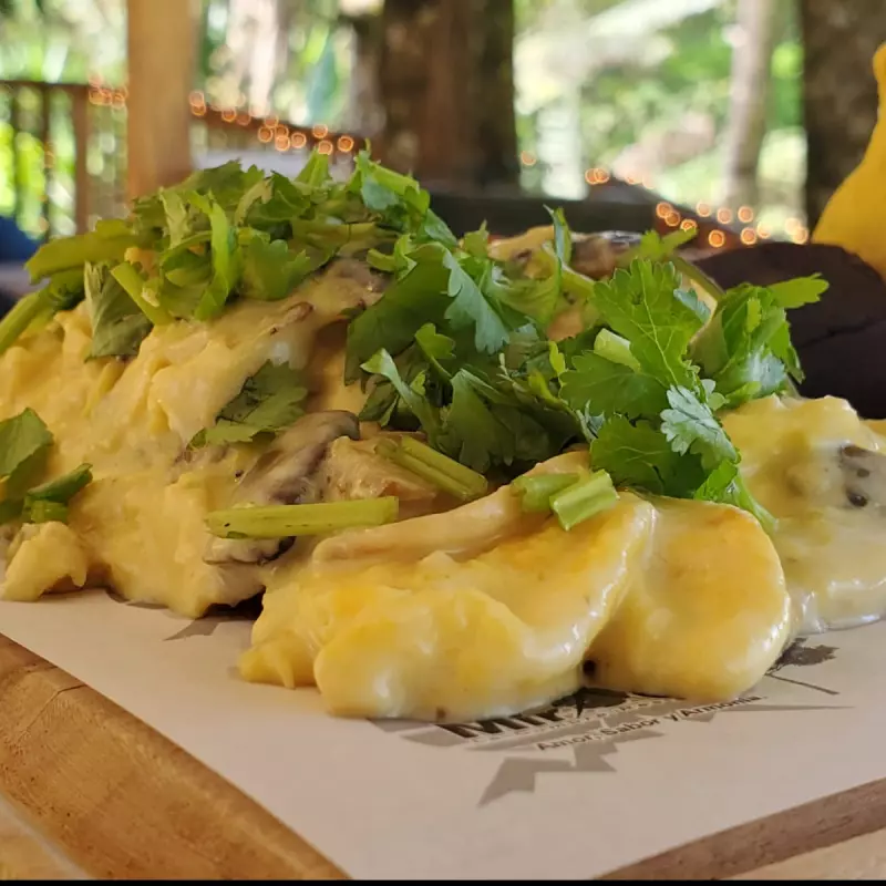 CREMA Y CHAMPIÑONES Cream & Mushroom