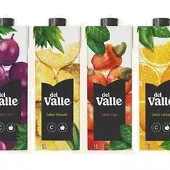 Néctar Del Valle 1L Sabores