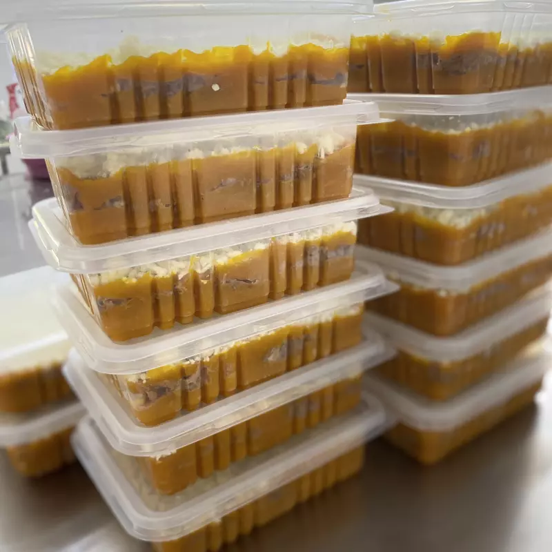 Kit 5 marmitas (500g)