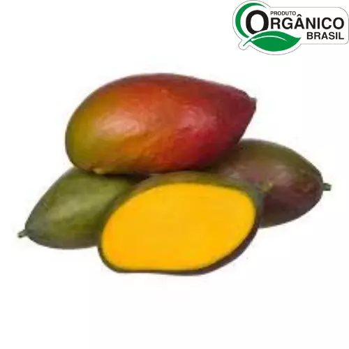 Manga Palmer Orgânica 500g