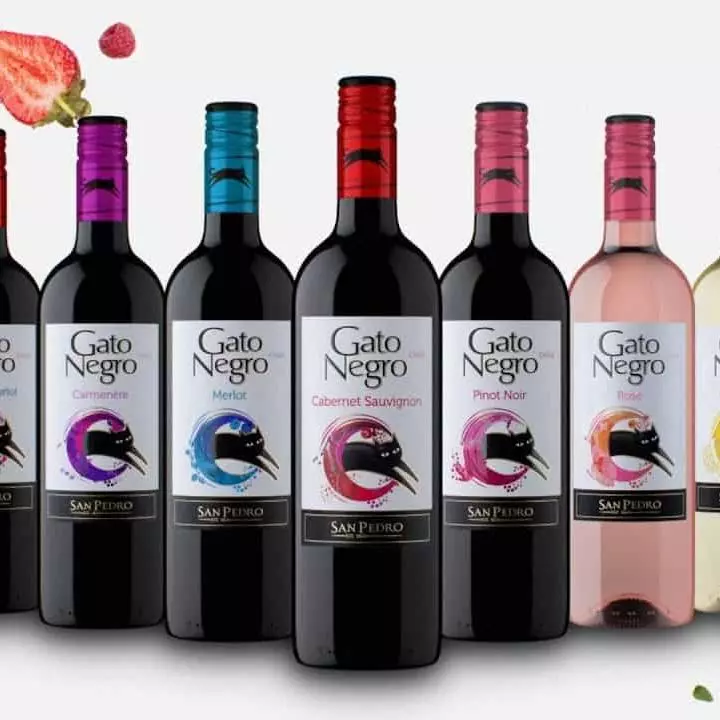 Vino Gato Negro