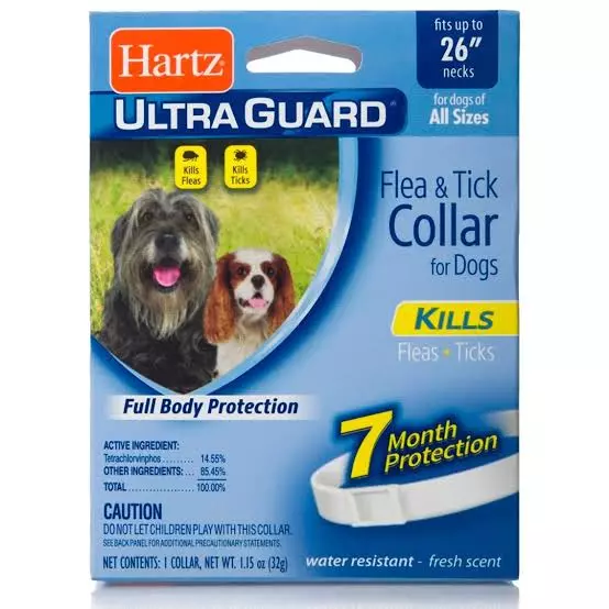 Collar Ultra Guard for Dogs 26"