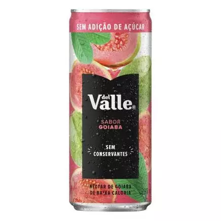 Suco Del Valle Goiaba 290ml