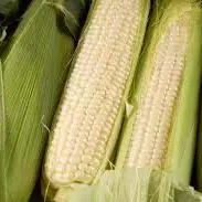 Elote Blanco