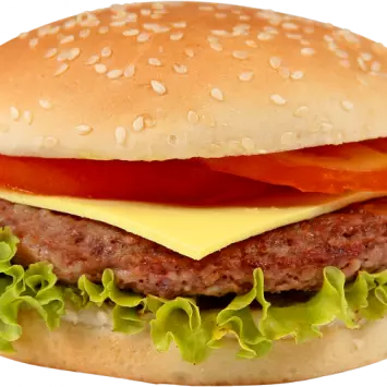 X-BURGUER