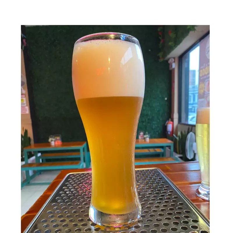 CHOPP TRAICIONERA (2IPA) 680 ML