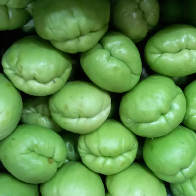 CHAYOTE TIERNO