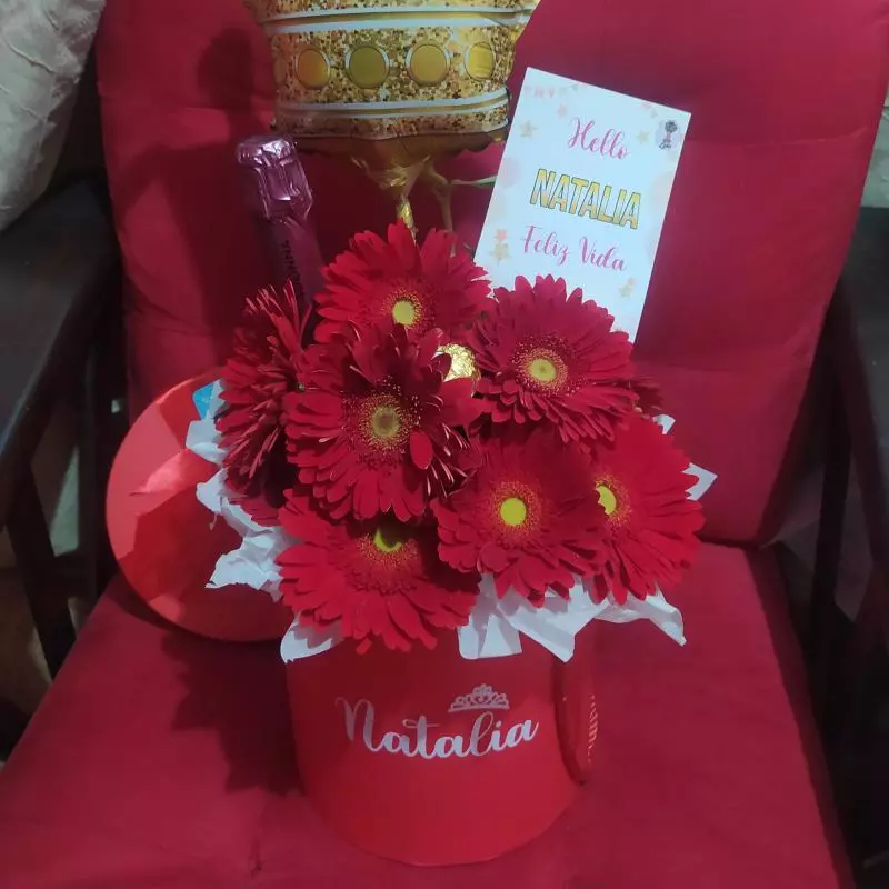 Box Gerbera