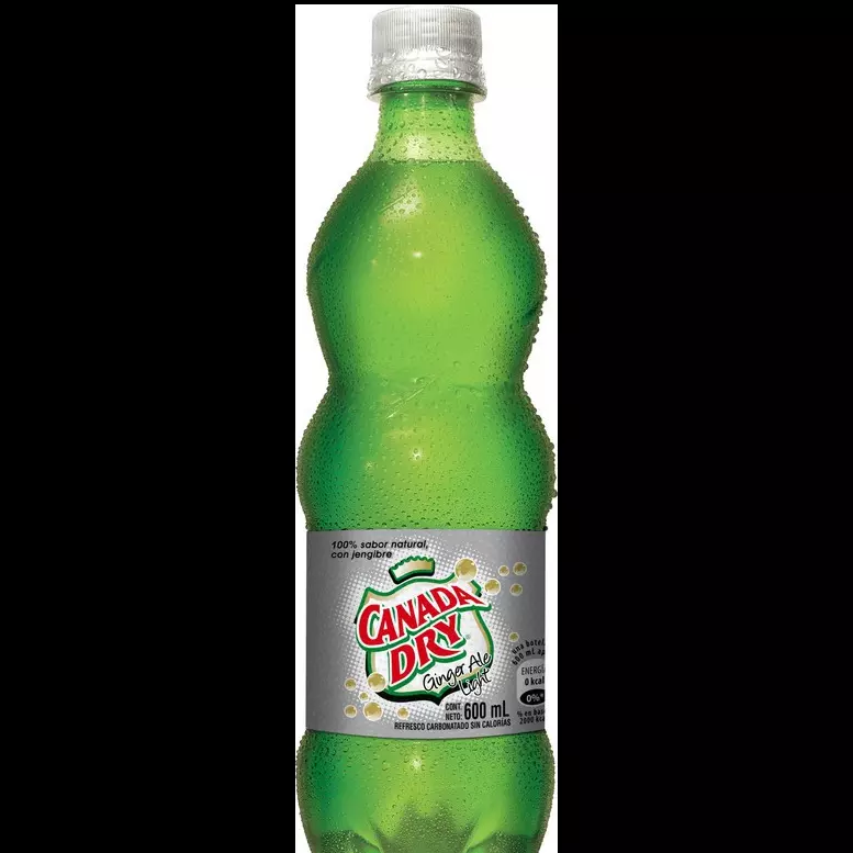 Ginger Ale 600ml