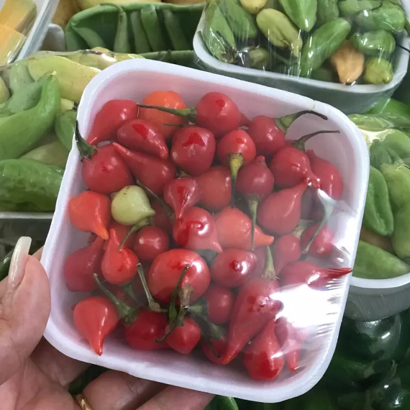 Pimenta biquinho 100g