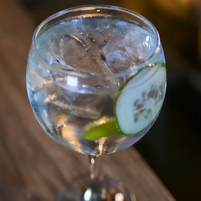 Gin de Pepino