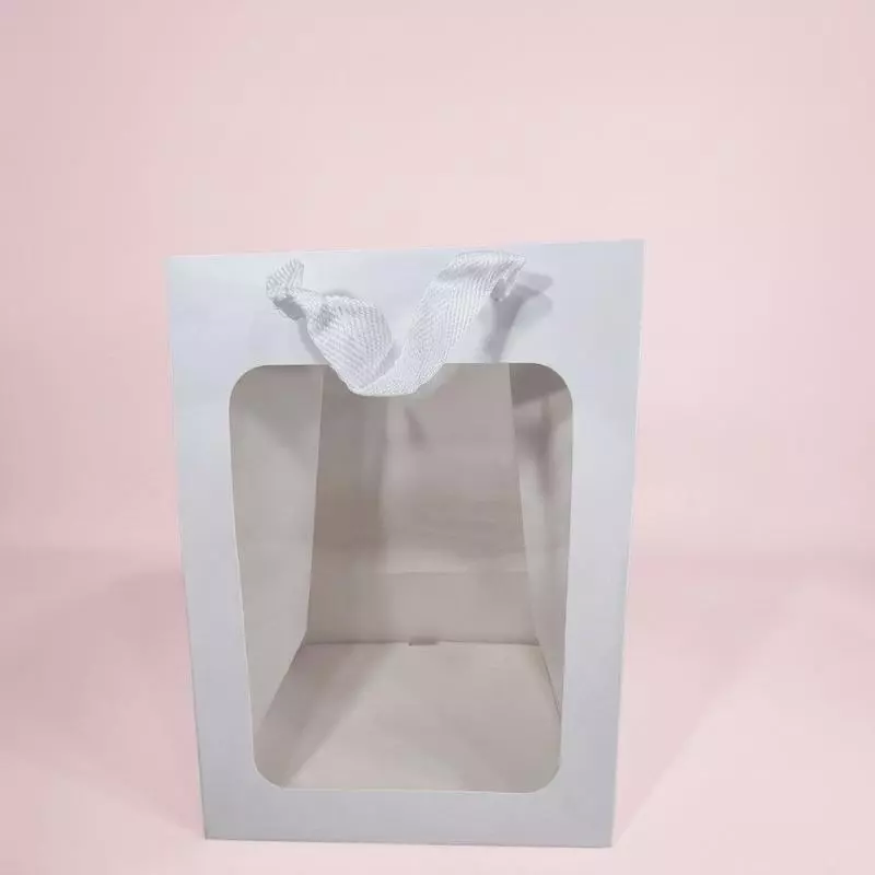 3023 BOLSAS DE REGALO CON VISOR