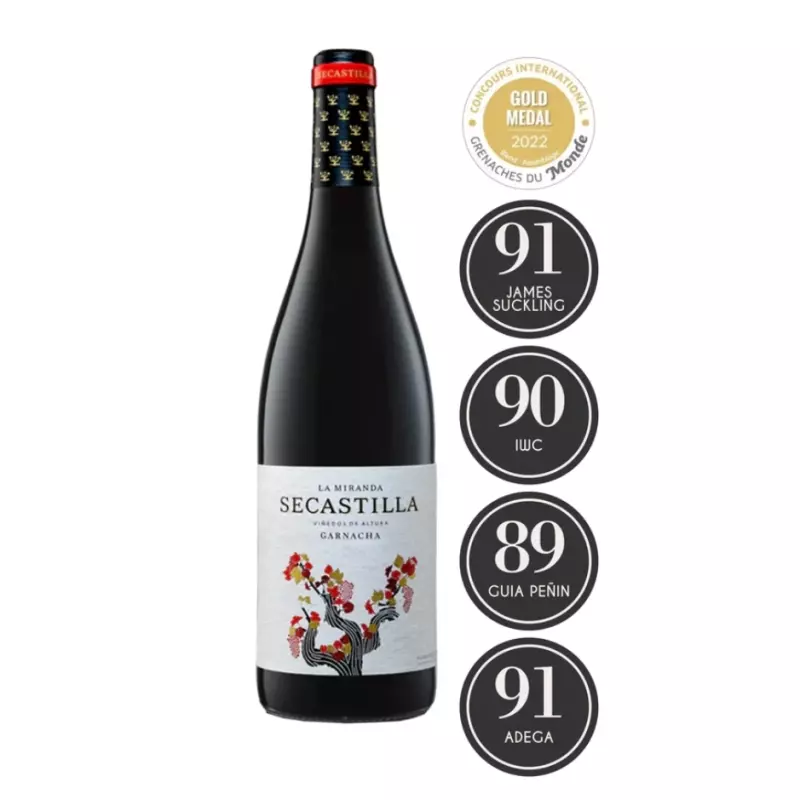 La Miranda de Secastilla Ga