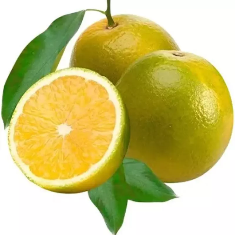 Laranja Pera