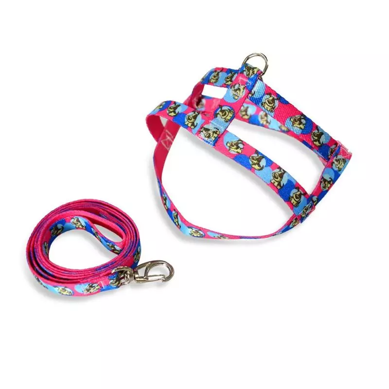 GUIA PEITORAL DE SEDA