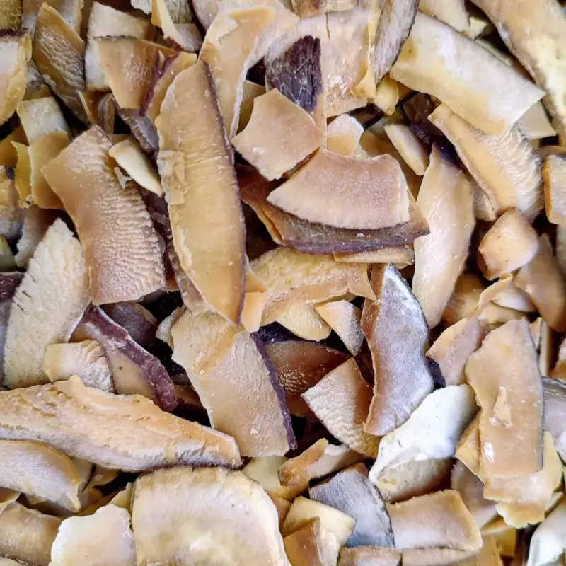 Coco Laminado c/ Néctar de Maçã