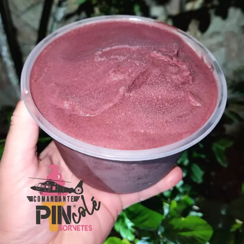 Açaí Puro de 1 Litro