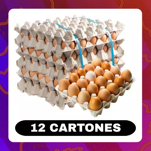 Caja Huevos Tipo B