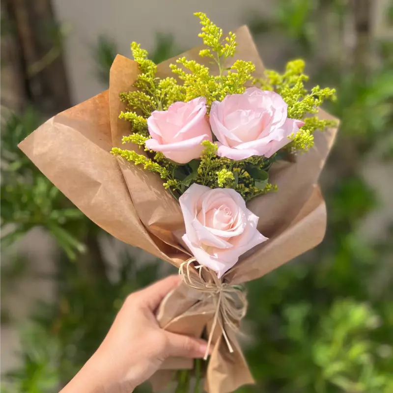 Mine 3 rosas (rosa) Leque.