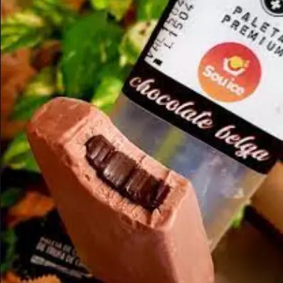 Paleta Premium Chocolate Belga