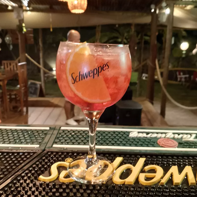 Campari Tônic