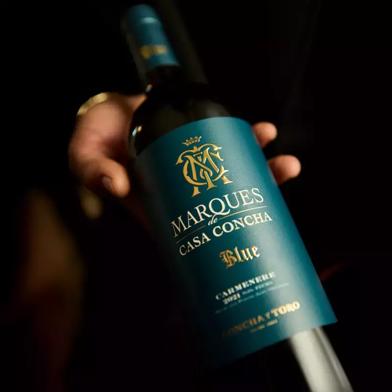 Marques casa concha blue