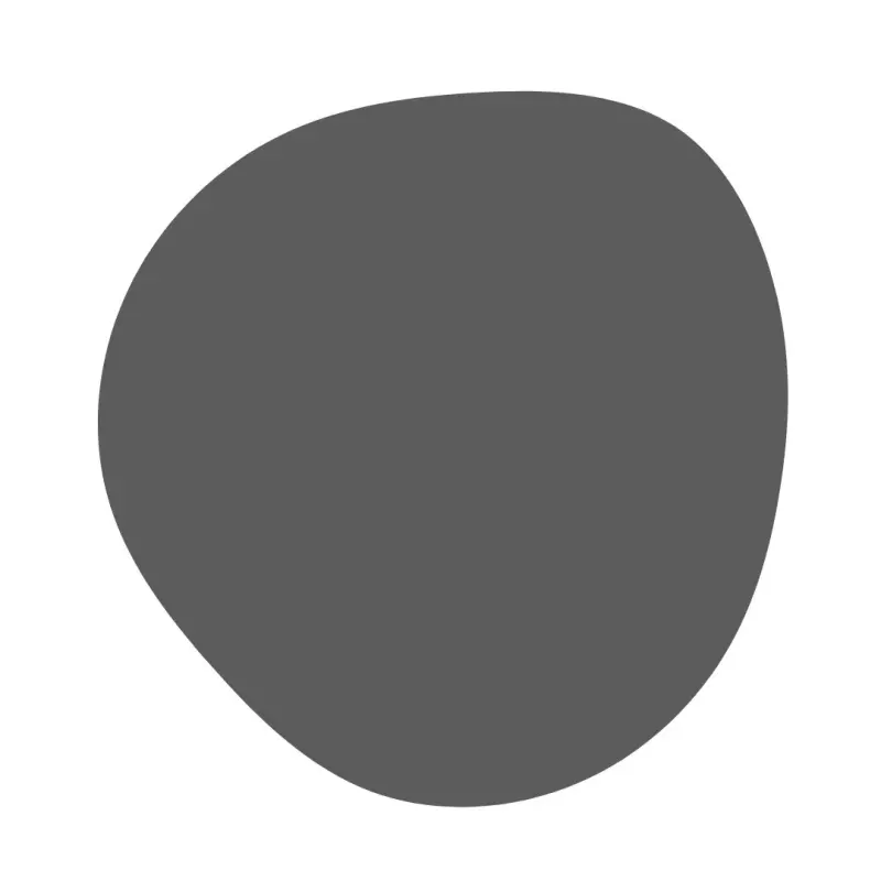 GRIS RATÓN /MOUSE GRAY