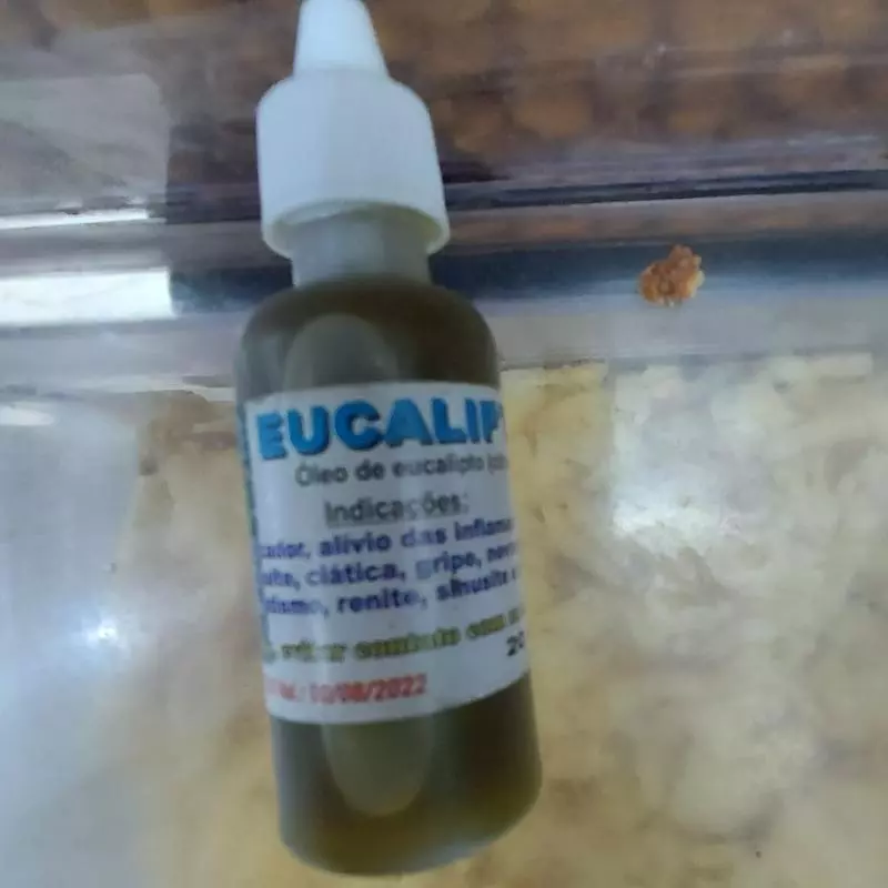 Óleo de Eucalipto 20ml
