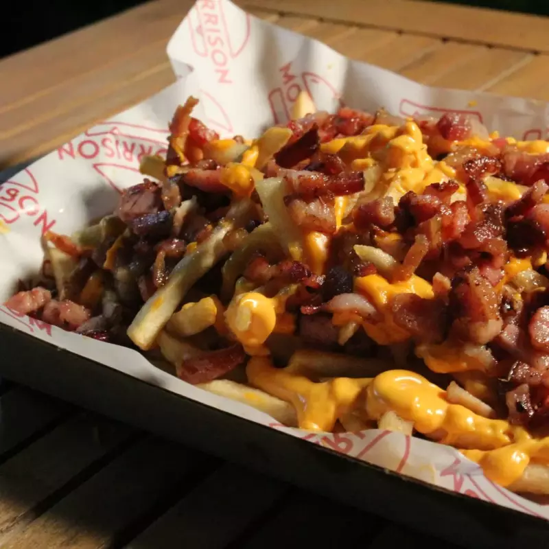 RUSTICAS CHICAS CON CHEDDAR Y PANZ