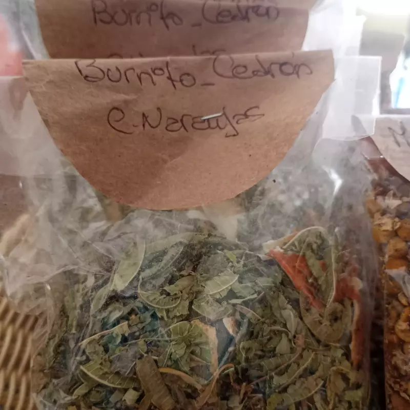 Mix yuyos para mate naranja