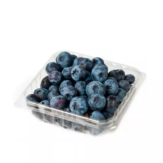 蓝莓 Blueberry