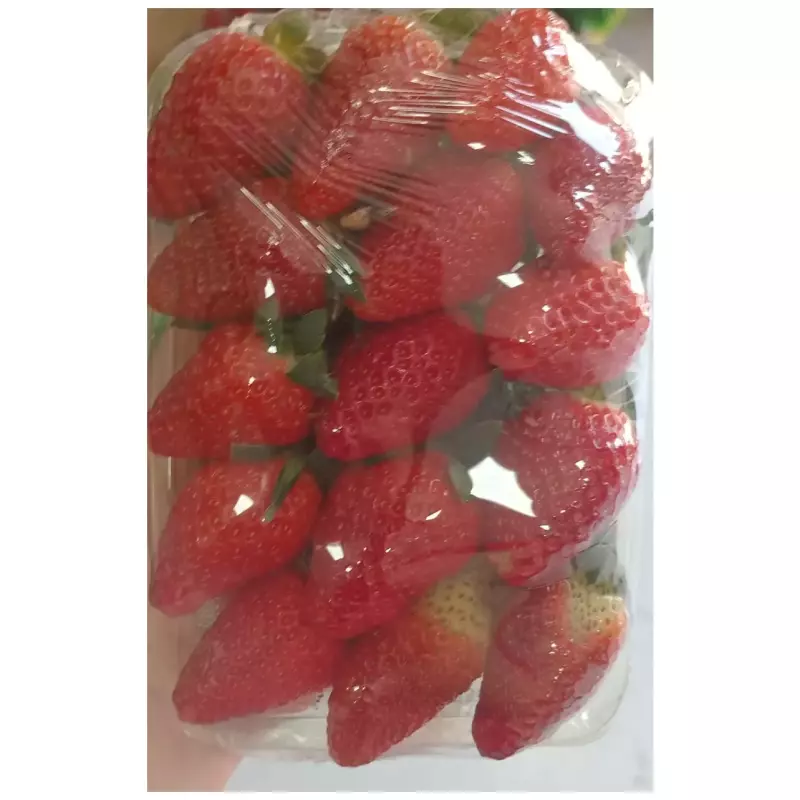 Bandeja morango fresco 3 de boca