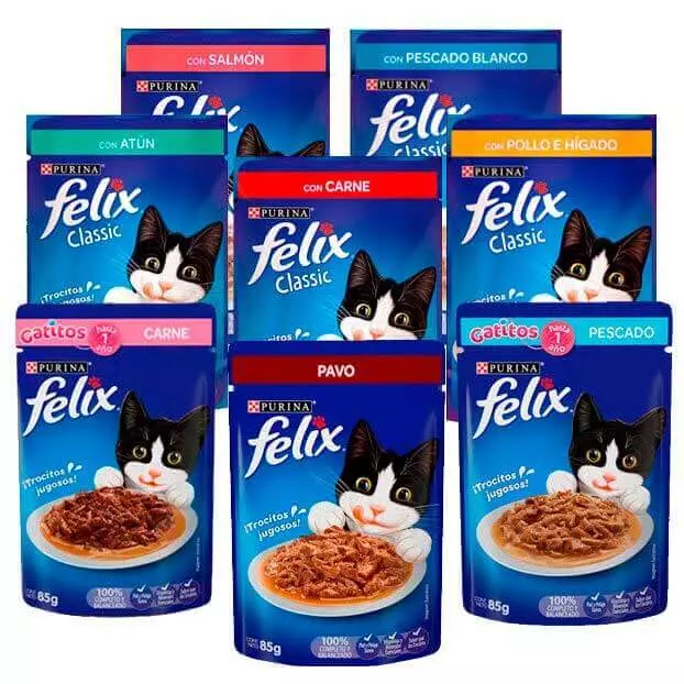 COMIDA HÚMEDA PARA GATOS
