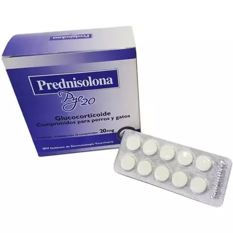 PREDNISOLONA EN TABLETAS 20 MG
