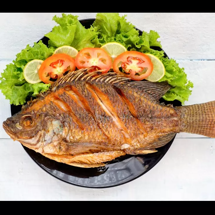 Mojarra