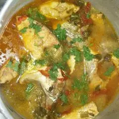 Pescada Branca Cozida (Corvina)