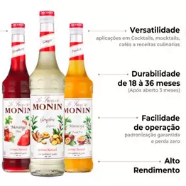 XAROPE MONIN 700ML