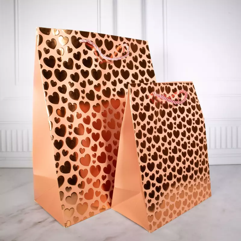 Bolsas Corazon Salmon 3156 (S/M)