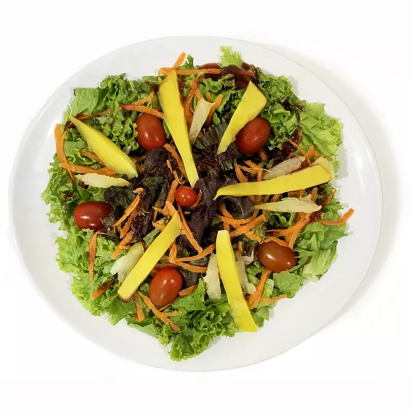 Salada Vegana ou Vegetariana