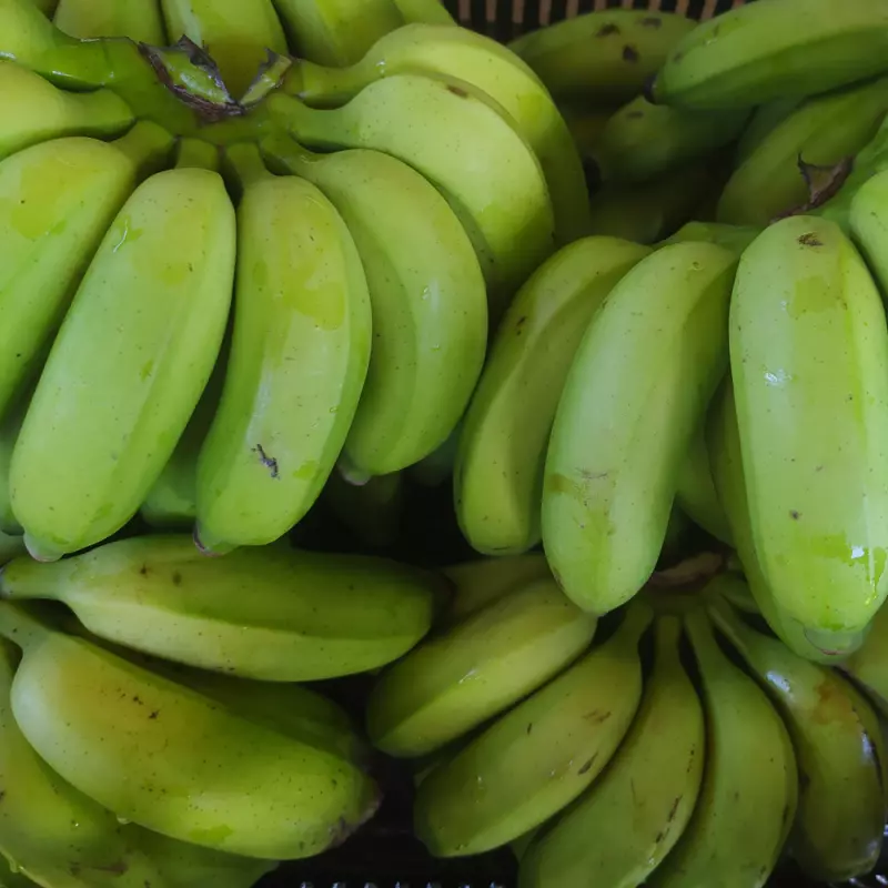 Banana Prata (Néia)