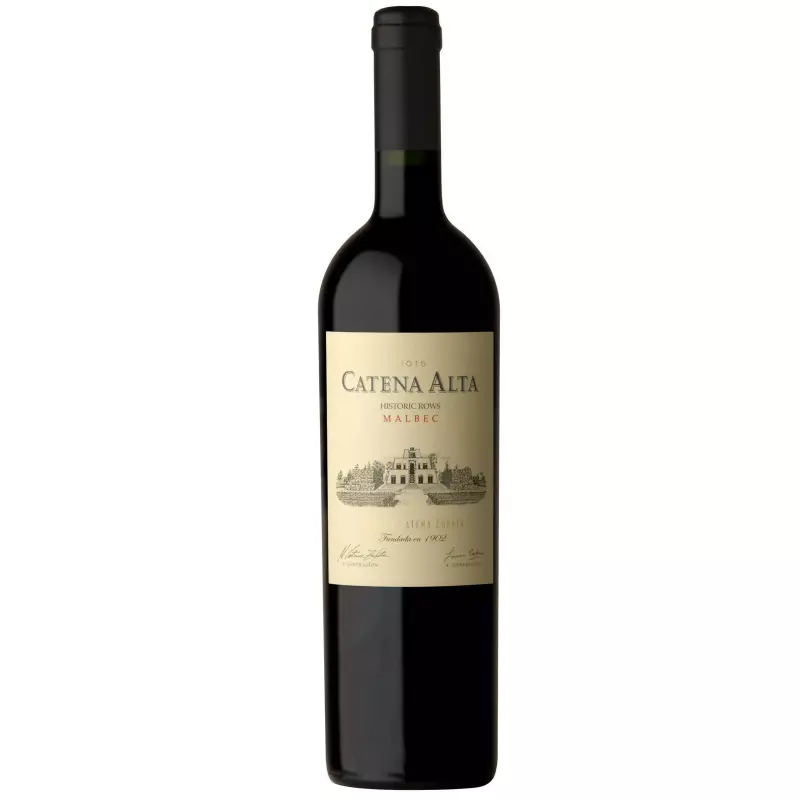 CATENA ALTA CABERNET SAUVIGNON 2021