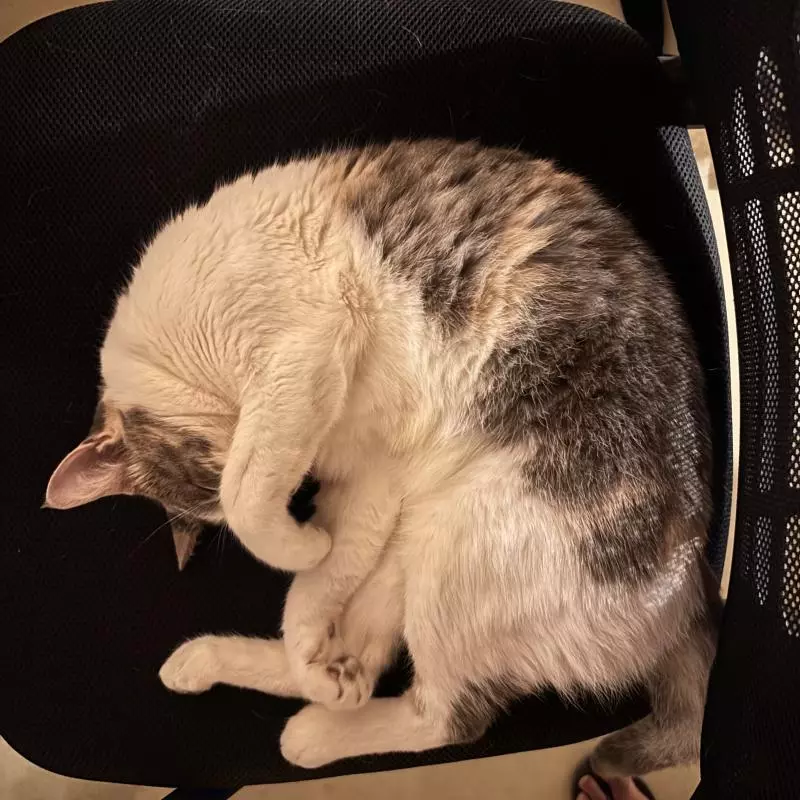 Caramel macchiato