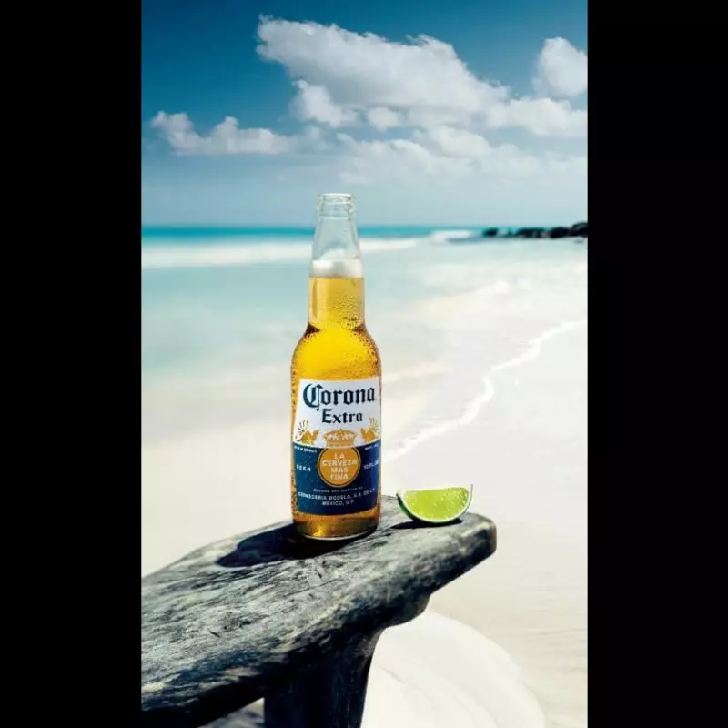 cerveza corona 355 ml